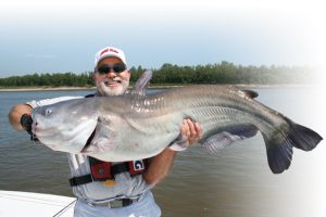 mississippi river catfish